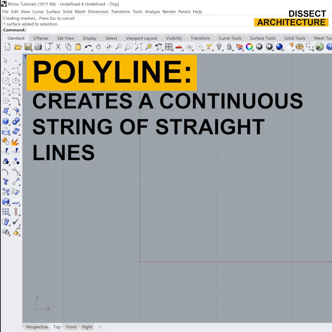 Polyline