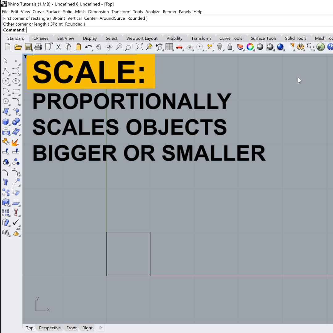 Scale